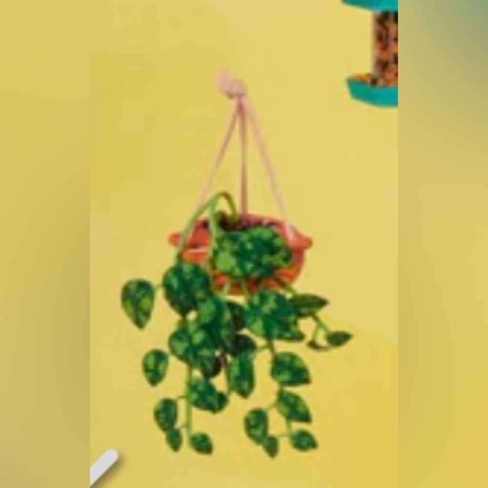 MiniVerse Make it Mini Lifestyle: Home Series 1, Hanging Pothos